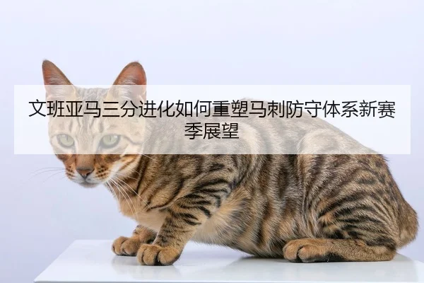文班亚马三分进化如何重塑马刺防守体系新赛季展望