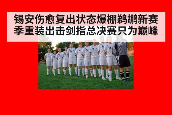 锡安伤愈复出状态爆棚鹈鹕新赛季重装出击剑指总决赛只为巅峰